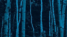 Private Equity Espa&ntilde;a - Anual 2014